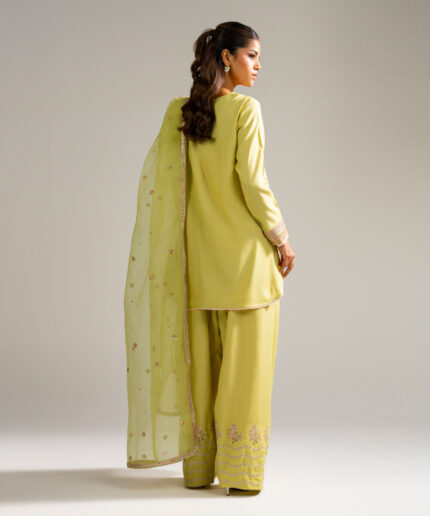Pale Green Raw Silk Straight Suit - View 2