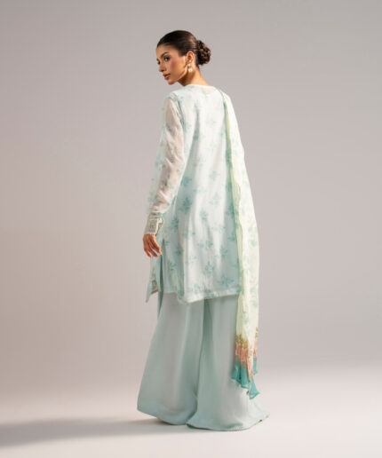 Blue Chiffon Straight Suit - View 2