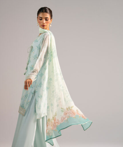 Blue Chiffon Straight Suit - View 1