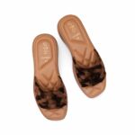 Brown Casual Softy For Women CL7202 - View 5