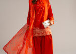 Rust Self Jacquard Straight Suit - View 6