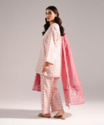 Off White Zari Lawn Straight Suit - View 4