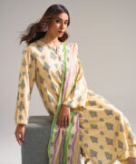 Beige Arabic Lawn Straight Suit - View 4