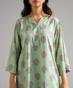 Green Arabic Lawn Straight Suit - View 5
