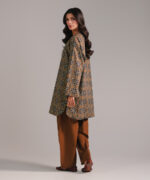 Brown Cambric Straight Suit - View 2