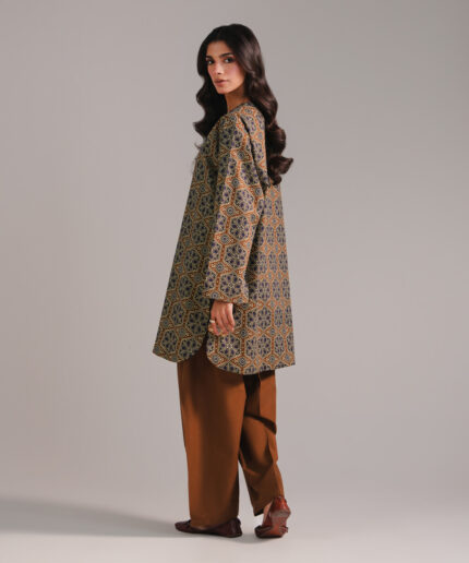 Brown Cambric Straight Suit - View 2
