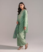 Green Cambric Straight Suit - View 5
