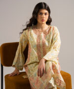 Pale Yellow Lawn Straight Shirt Suit - View 4